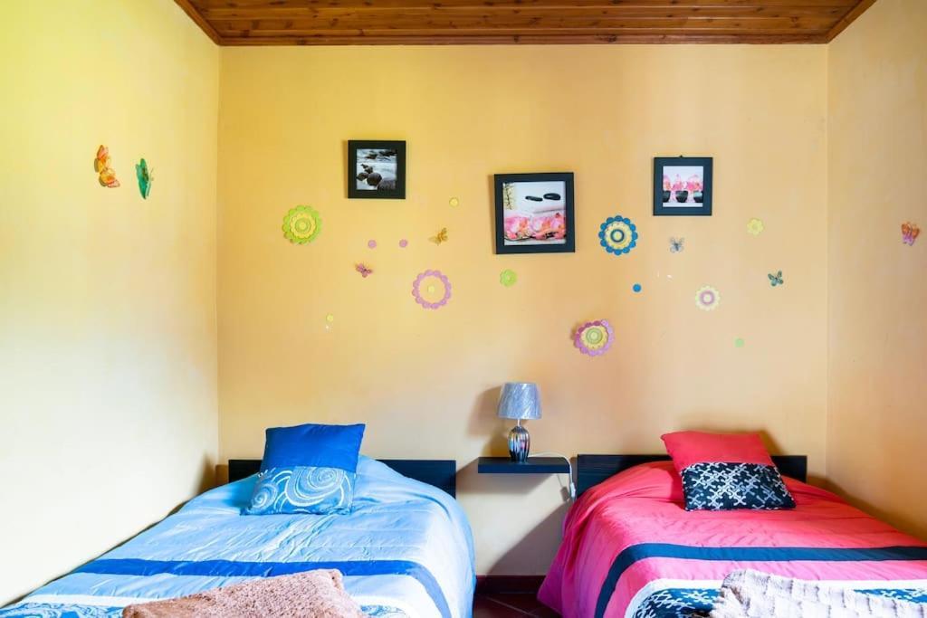 Country House In Azores - S. Miguel Ribeira Grande Buitenkant foto